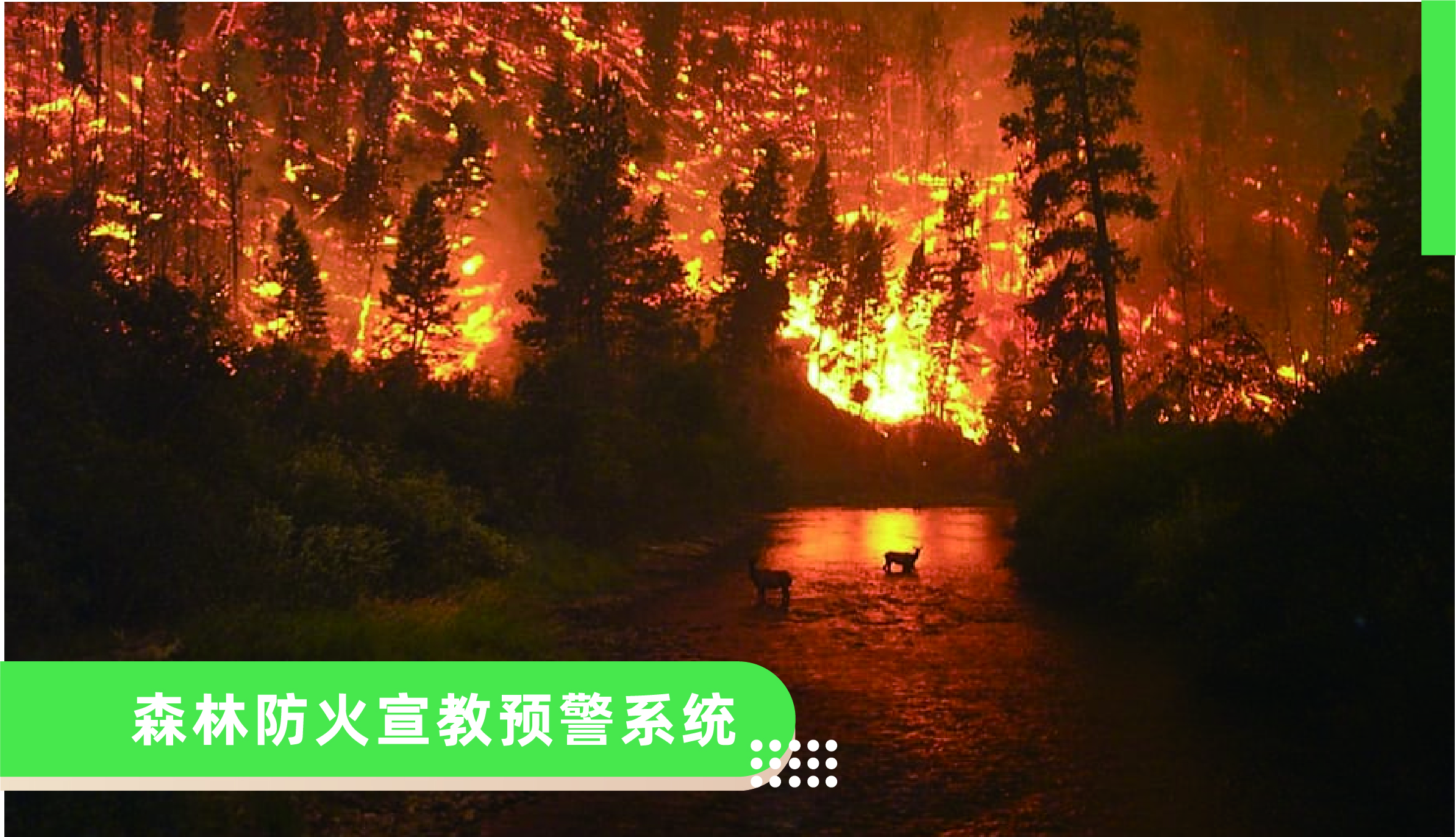 ɭַԤϵͳ
